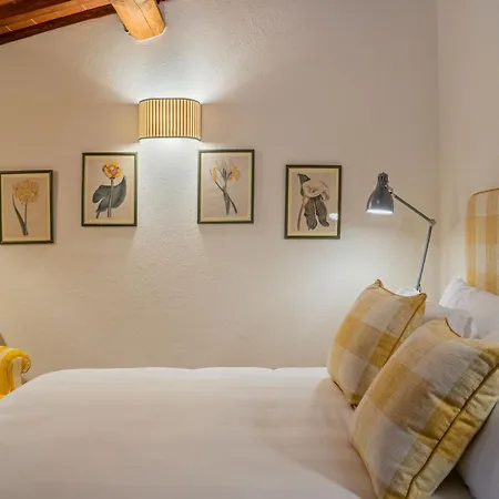 Borgolecchi , Lecchi In Chianti